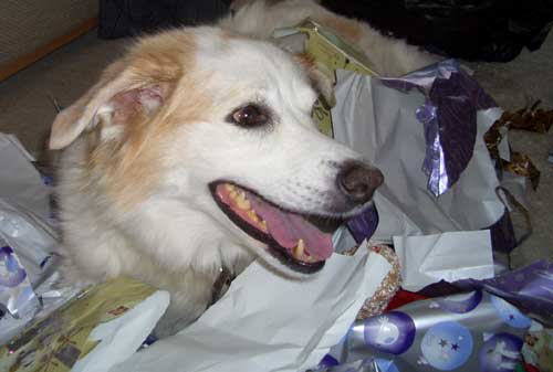 She loved nothing more then ripping open wrapping paper