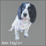 max taylor